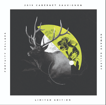 2019 Cabernet Sauvignon (Nuwave)